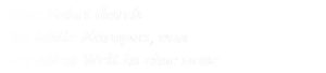 Eine Fahrt durch die Mitte Europas, von einer alten Welt in eine neue